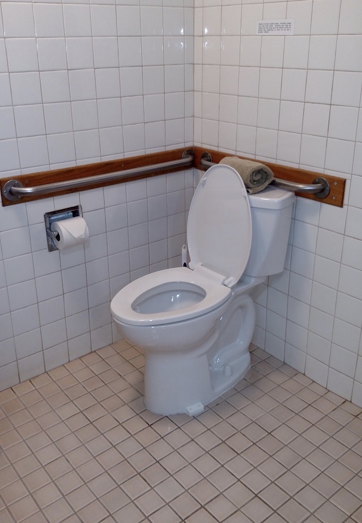 003-ADA-toilet.jpeg